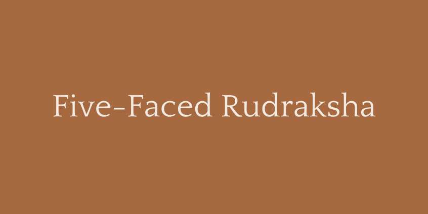 Five-Faced Rudraksha (5 Mukhi Rudraksha)